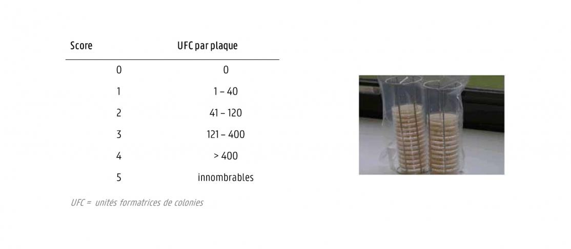 Higienogramme et score