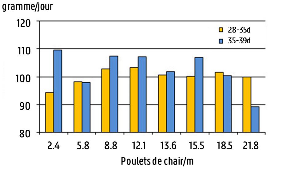 Densité poulets de chair