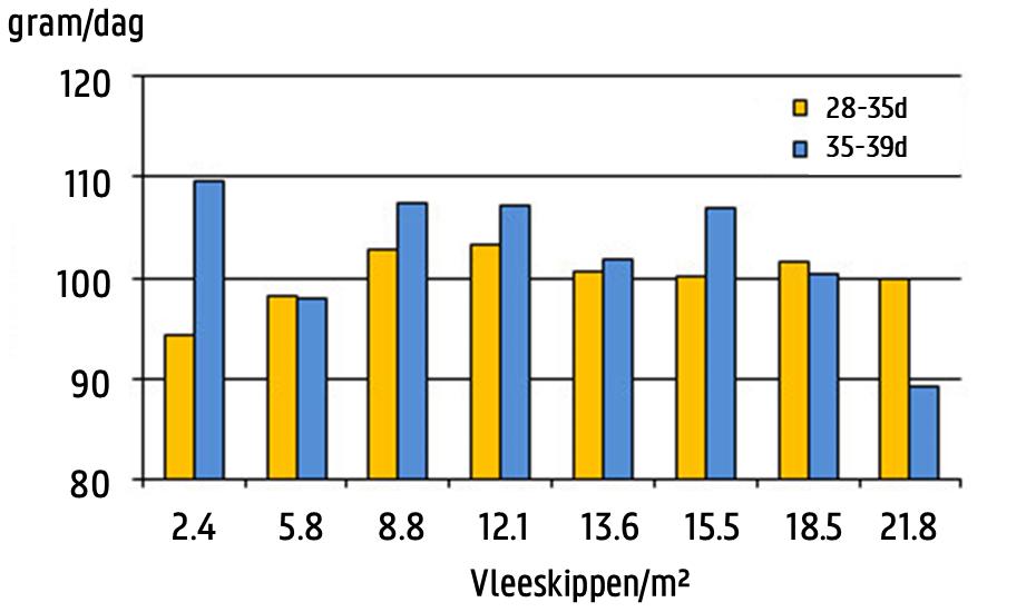 Bezettingsdichtheid vleeskippen