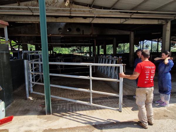 Vets in discussion at farm
