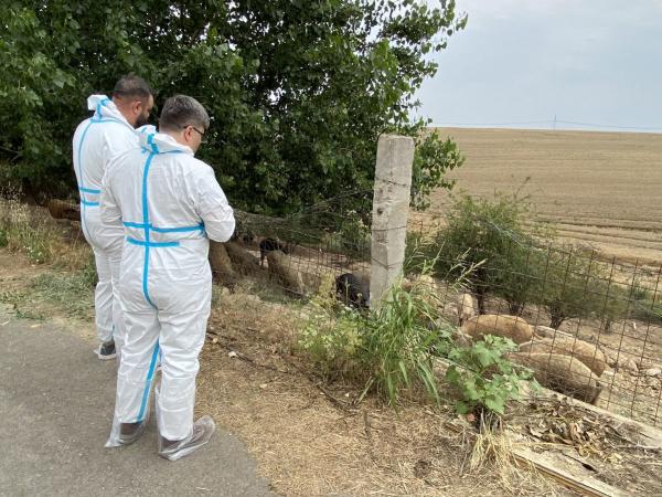 two vets standing at an outdoor farm