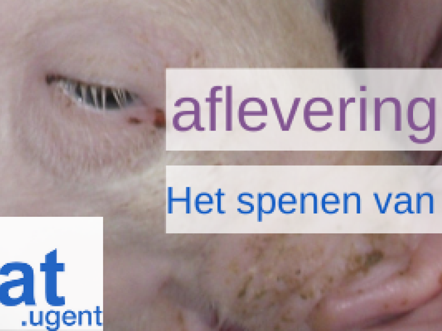 Biochat