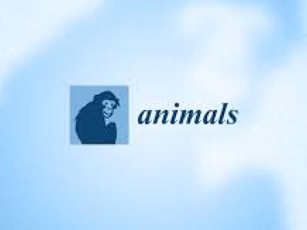 Animal logo